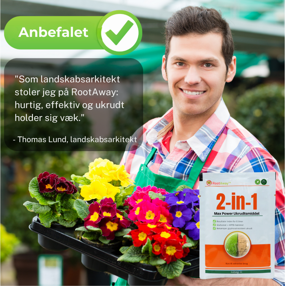 RootAway™ | Få rene udearealer uden evig kamp