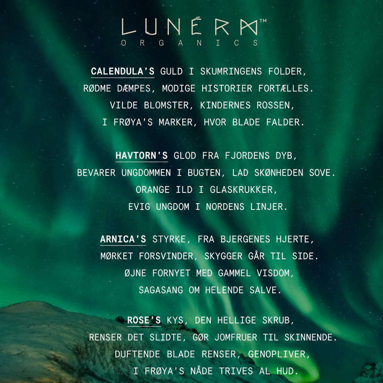 Lunéra™ | Komplet Skin Repair System