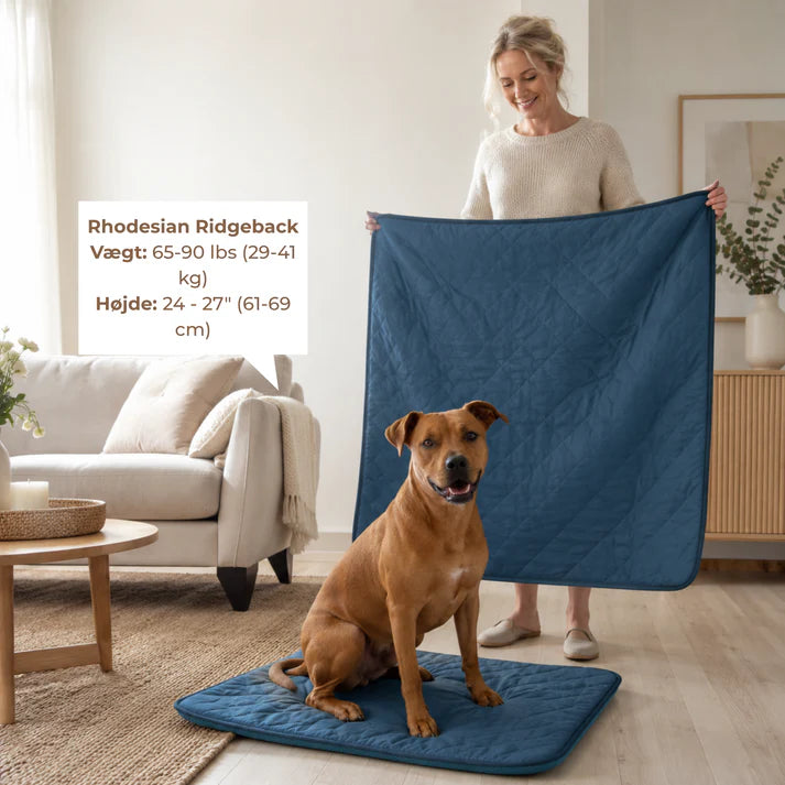 KøleRo™ Gel fri Selvafkølende Kølemåtte til Hunde