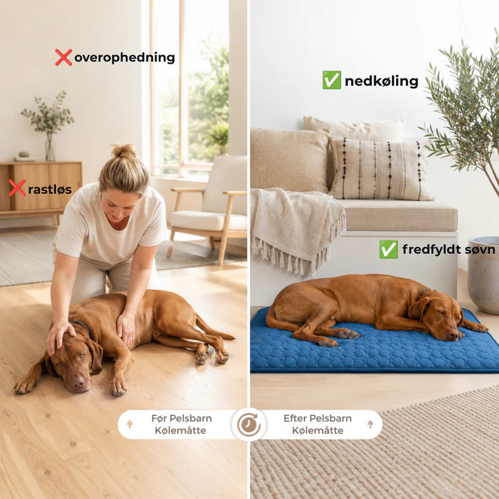 KøleRo™ Gel fri Selvafkølende Kølemåtte til Hunde