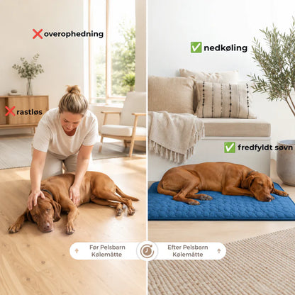 KøleRo™ Gel fri Selvafkølende Kølemåtte til Hunde